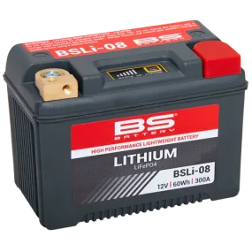 BS Battery BSLI-08 Lithium Battery 12.8V 5Ah (60Wh)