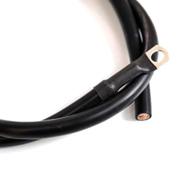 Earth Strap - incl 1 lug (700mm long)