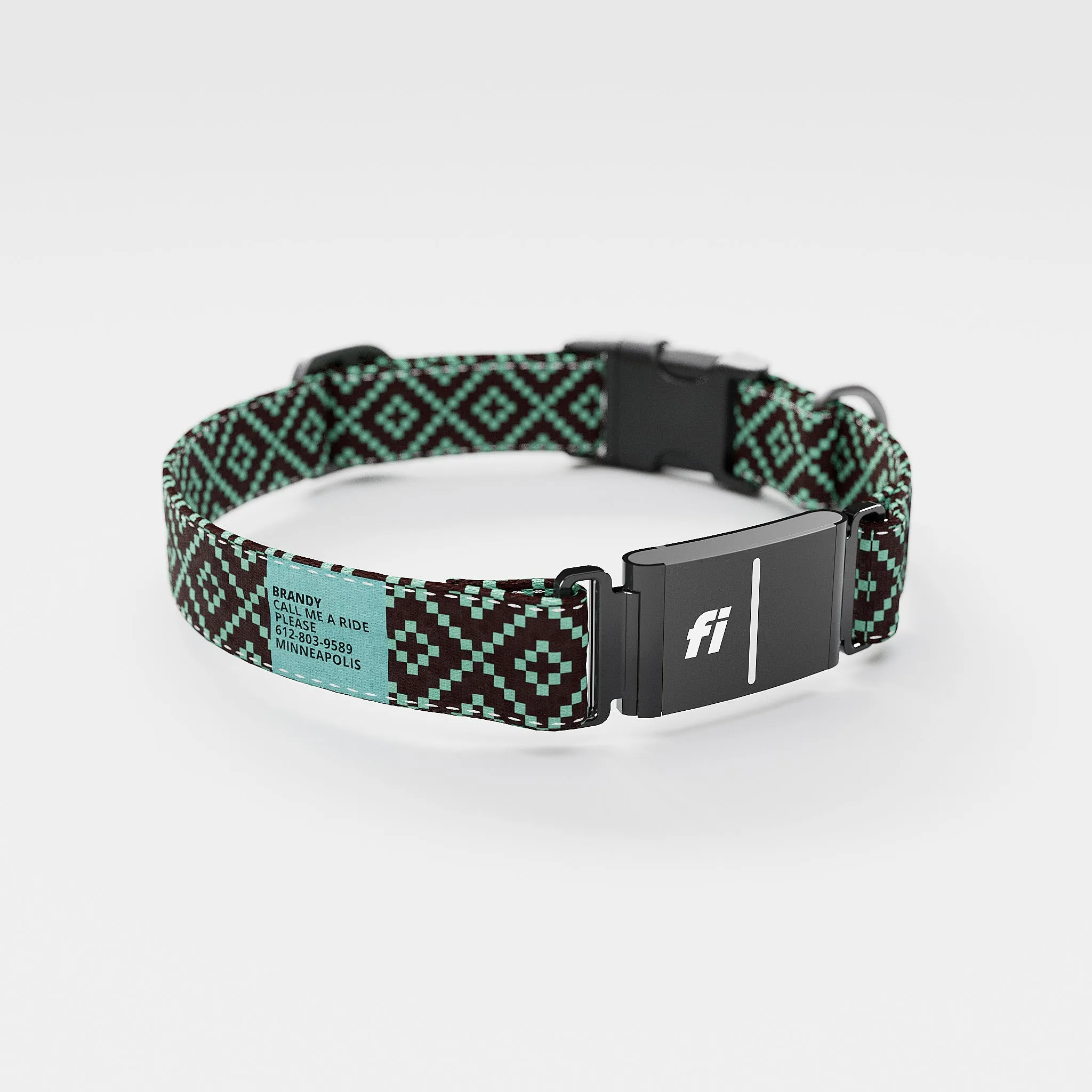 Fi GPS Included Pixie Brown Teal Everyday Collar (6 month subscription)