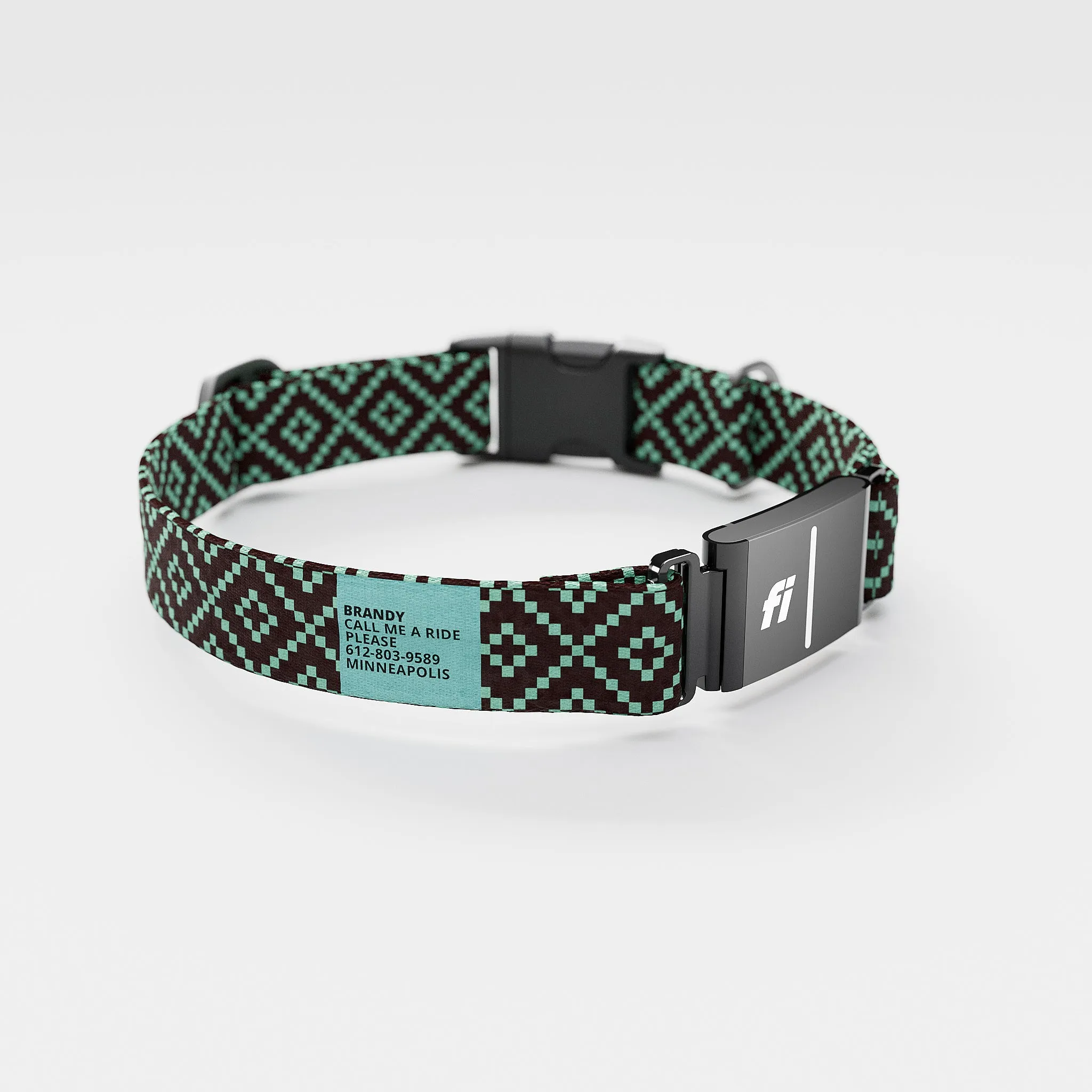 Fi GPS Included Pixie Brown Teal Everyday Collar (6 month subscription)