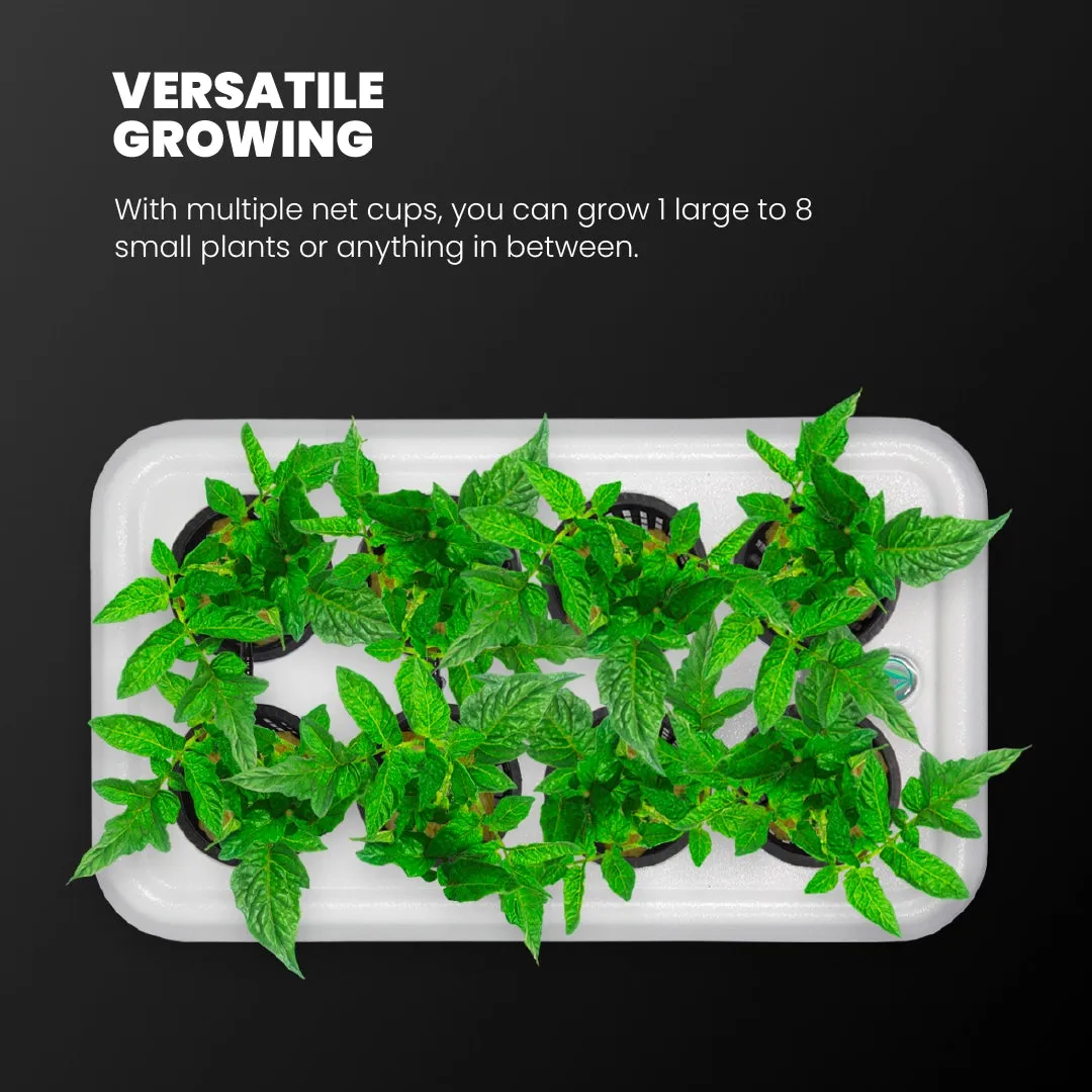 Hydroponic Grow System - 8