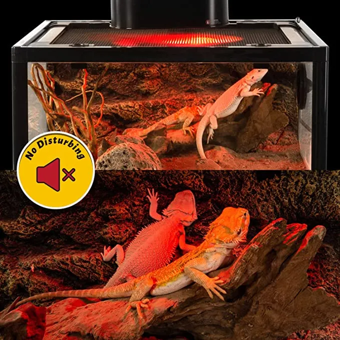 REPTI ZOO 25W Nano Reptile Infrared Heating Lamp 2 Pack for Small Geckos,Turtle,Bearded Dragon,Lizard,Tarantulas